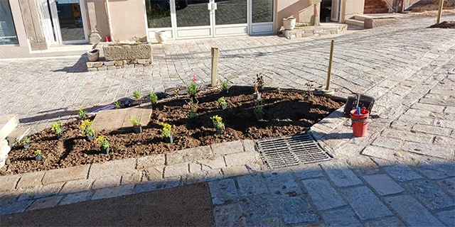 🌱 Plantations école et place de la mairie