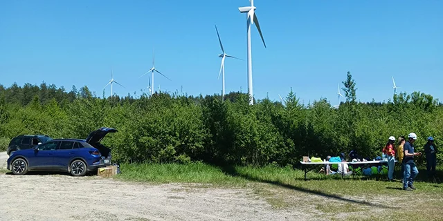 🔌 Visite du parc éolien